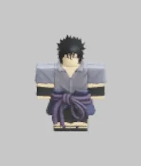 Sasuke Raid